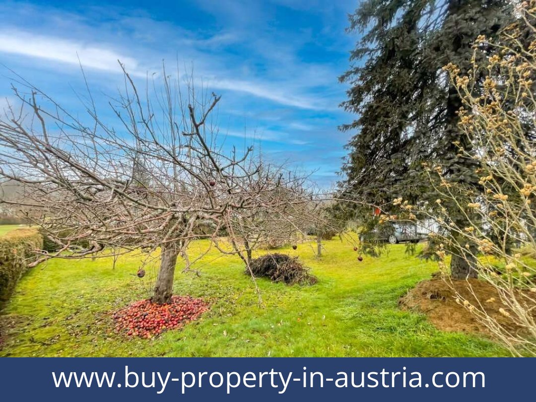 buy-property-in-austria-sankt georgen an der stiefing-8413-20250916041756-0017901015.jpg